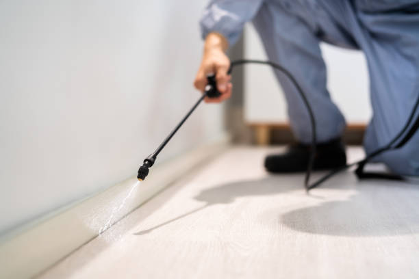 Bed Bug Pre-Treatment Preparation Assessment in Castaic
