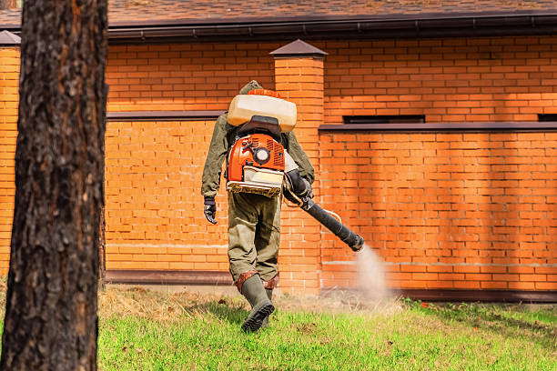 Bed Bug Clearance Verification and Documentation in Castaic